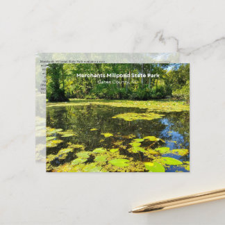 Merchants Millpond State Park, NC Postcard