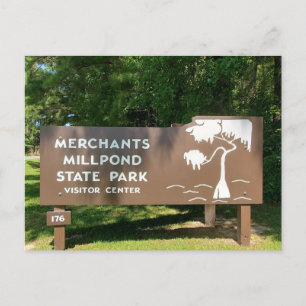 Merchants Millpond State Park Postcard