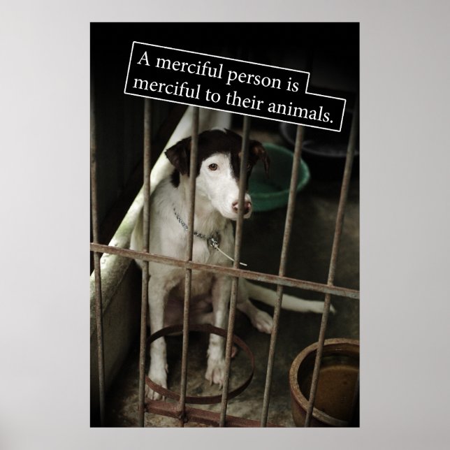 Merciful to Animals Poster (Front)