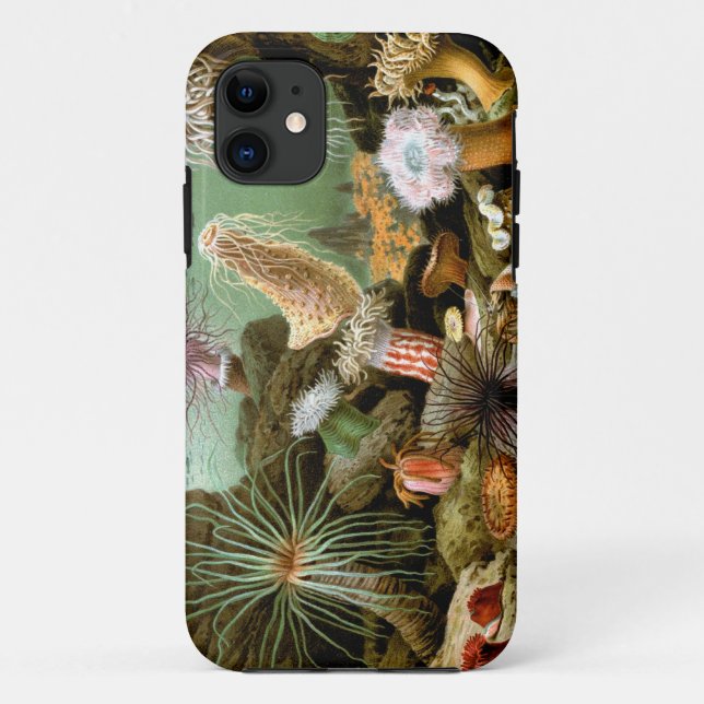 Merculiano Sea Anemones iPhone 5 Barely There Case (Back)