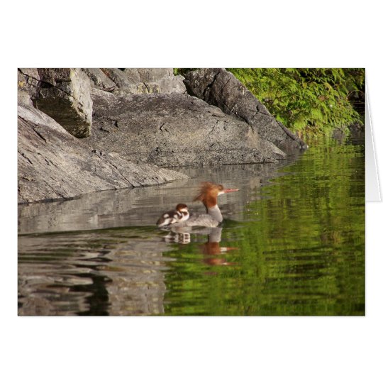 Merganser and Babies Card
