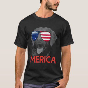 Merica Chesapeake Bay Retriever American Flag 4th T-Shirt