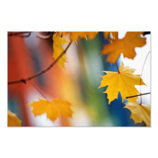 Meridian Fall. Photo Print