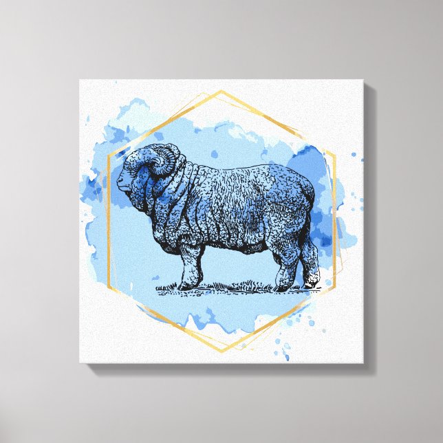 Merino Ram Canvas Print (Front)