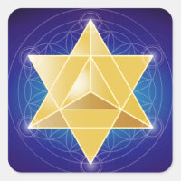 Merkaba with Flower of Life