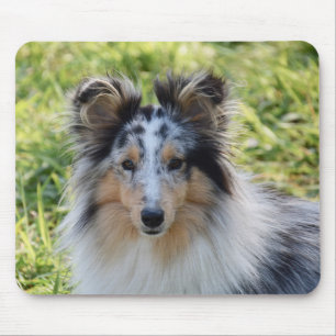 Merland Sheepdog - Sheltie Dog Mouse Mat