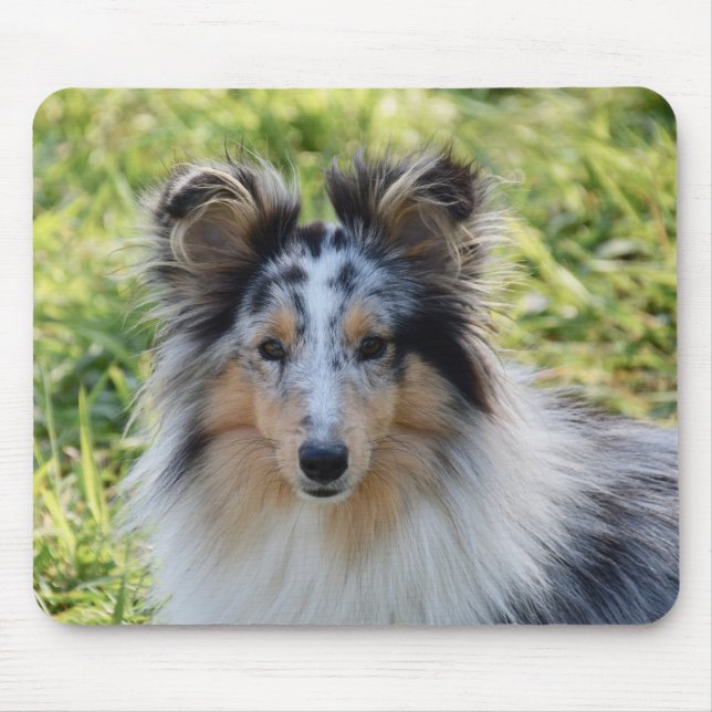 Merland Sheepdog - Sheltie Dog Mouse Mat (Front)