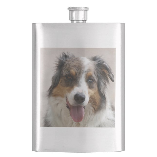 merle aussie hip flask (Front)
