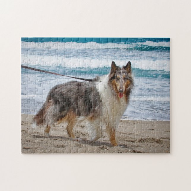 Merle Collie at the Beach Jigsaw Puzzle (Horizontal)