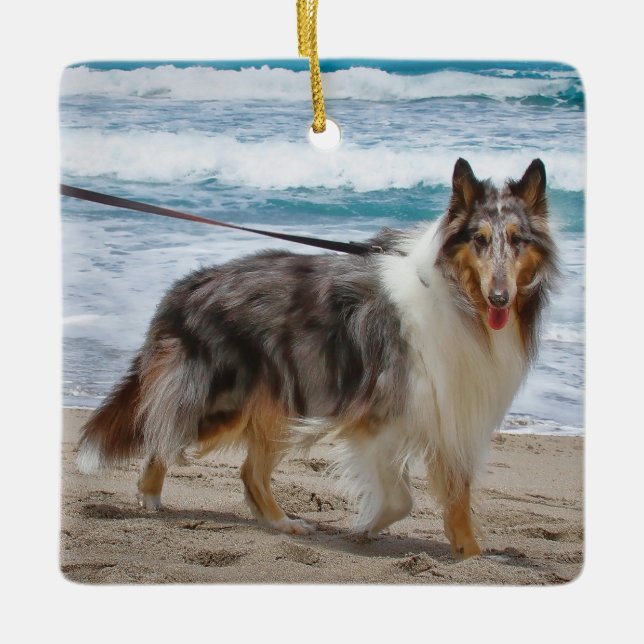 Merle Collie Dog at the Beach Ceramic Ornament (Front)