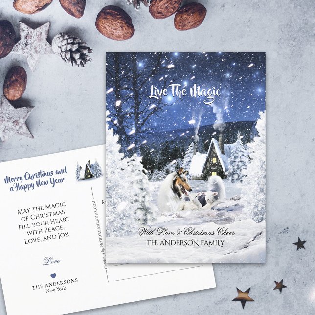 Merle Collie & Lambs in Winter Night - Christmas   Postcard (Creator Uploaded)