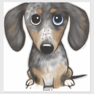 Merle Dapple Dachshund Cute Wiener Dog