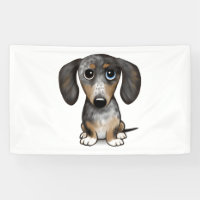 Merle Dapple Dachshund Cute Wiener Dog  