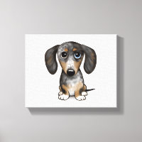 Merle Dapple Dachshund Cute Wiener Dog  