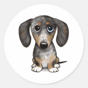 Merle Dapple Dachshund Cute Wiener Dog Classic Round Sticker