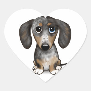 Merle Dapple Dachshund Cute Wiener Dog   Heart Sticker