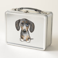 Merle Dapple Dachshund Cute Wiener Dog  