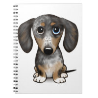 Merle Dapple Dachshund Cute Wiener Dog