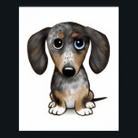 Merle Dapple Dachshund Cute Wiener Dog   Poster<br><div class="desc">Merle Dapple Dachshund Cute Wiener Dog</div>