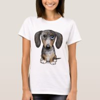 Merle Dapple Dachshund Cute Wiener Dog  