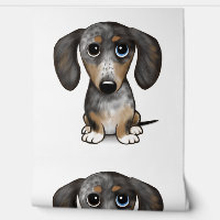 Merle Dapple Dachshund Cute Wiener Dog  