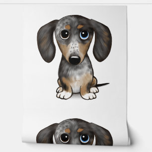 Merle Dapple Dachshund Cute Wiener Dog   Wallpaper