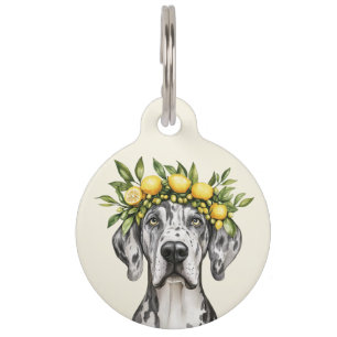 Merle Great Dane Dog Lemon Crown Pet Tag