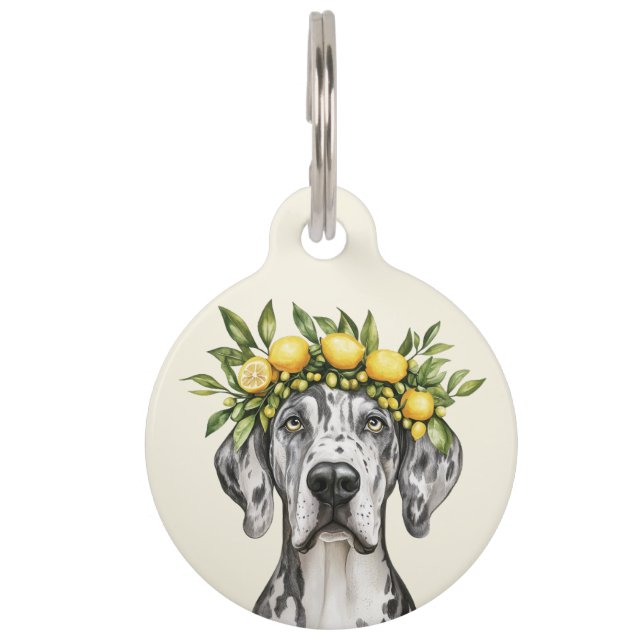 Merle Great Dane Dog Lemon Crown Pet Tag (Front)