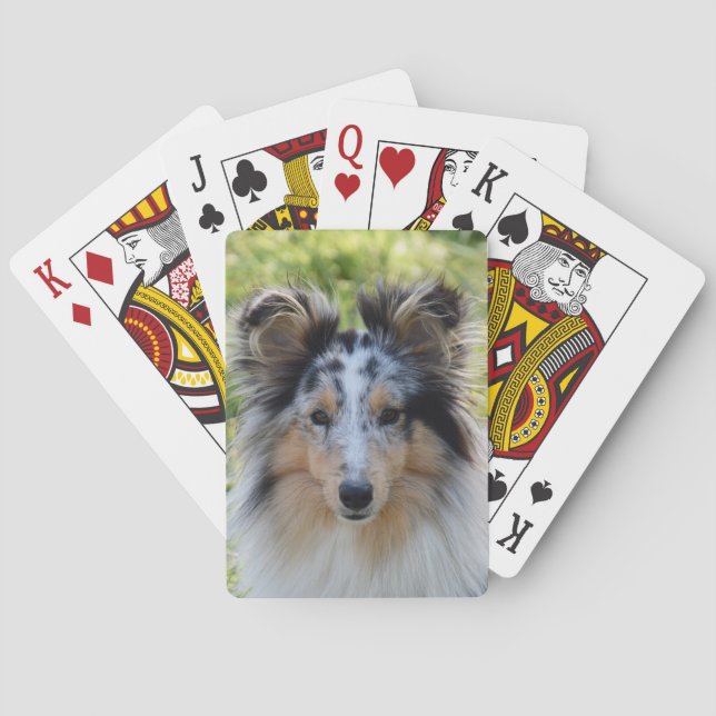 Merle Shetland Sheepdog - Sheltie Dog Playing Cards (Back)