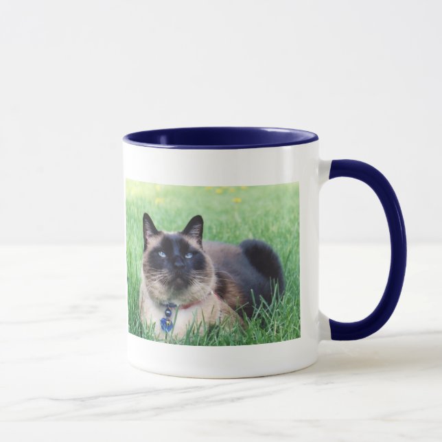 Merlin Blue Memorial Mug (Right)