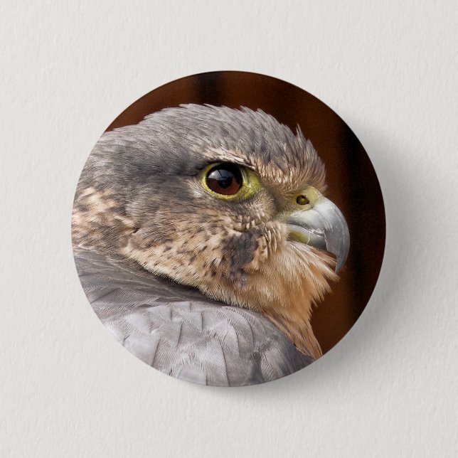 MERLIN FALCON BIRD OF PREY 6 CM ROUND BADGE (Front)