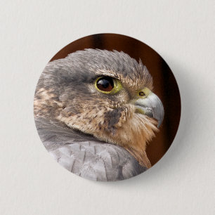 MERLIN FALCON BIRD OF PREY 6 CM ROUND BADGE