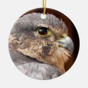 MERLIN FALCON BIRD OF PREY CERAMIC TREE DECORATION