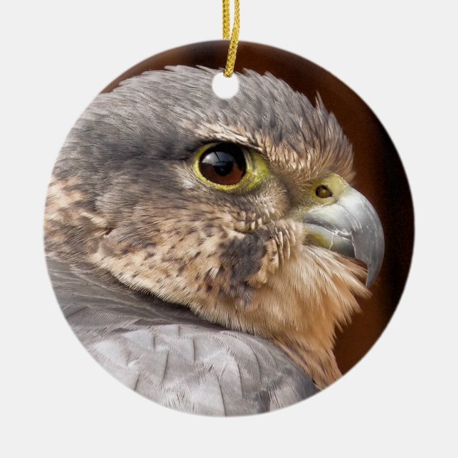 MERLIN FALCON BIRD OF PREY CERAMIC TREE DECORATION (Front)