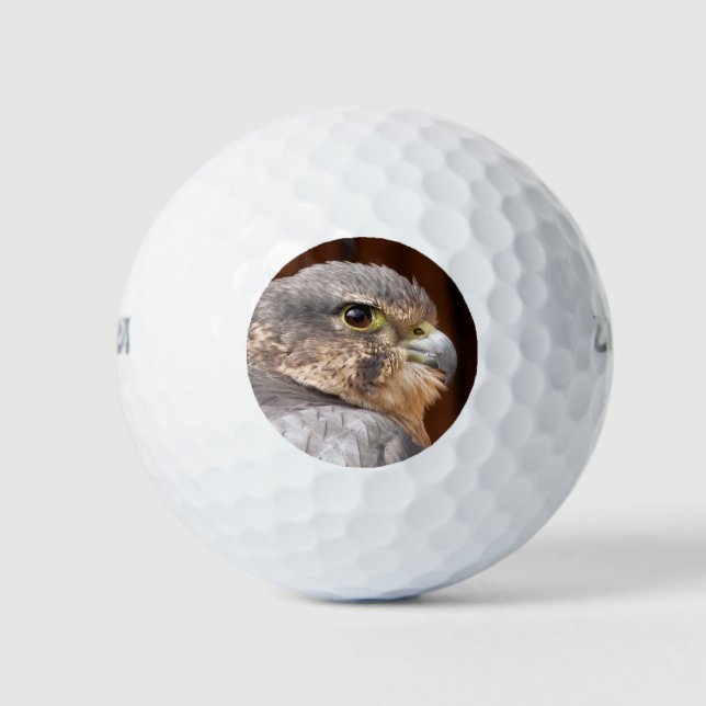 MERLIN FALCON BIRD OF PREY GOLF BALLS (Front)