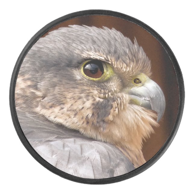 MERLIN FALCON BIRD OF PREY HOCKEY PUCK (Front)