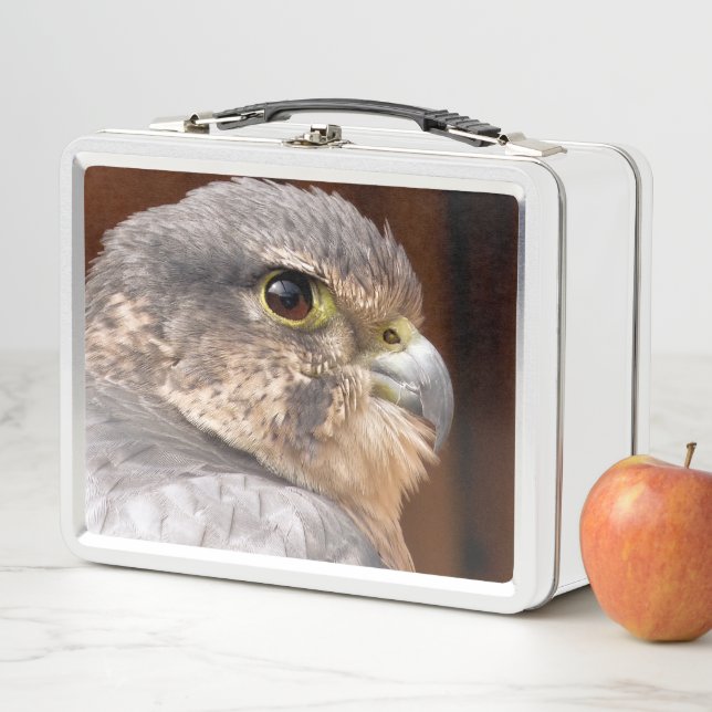 MERLIN FALCON BIRD OF PREY METAL LUNCH BOX (In Situ)