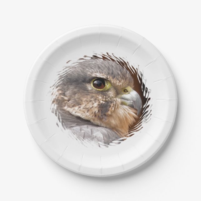 MERLIN FALCON BIRD OF PREY PAPER PLATE (Front)
