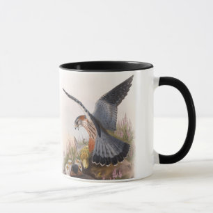 Merlin Falcon John Gould Birds of Great Britain Mug