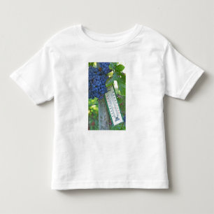 Merlot grapes at Chateau la Grave Figeac, a Toddler T-Shirt