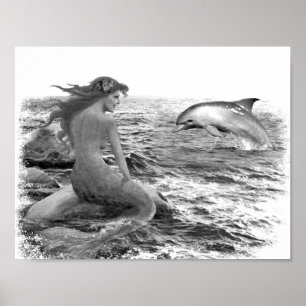 Mermaid and Dolphin Poster