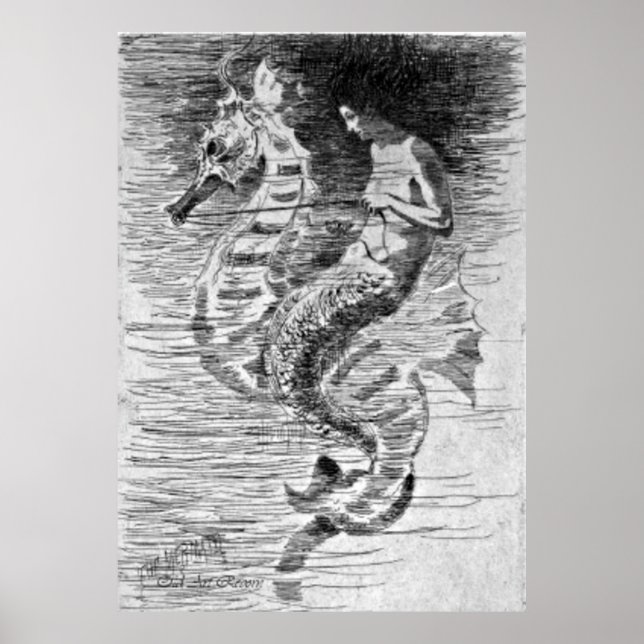 Mermaid And Seahorse Poster (Front)
