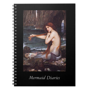 Mermaid Diaries Notebook