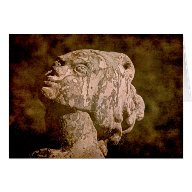 Mermaid Headshot (Front Horizontal)