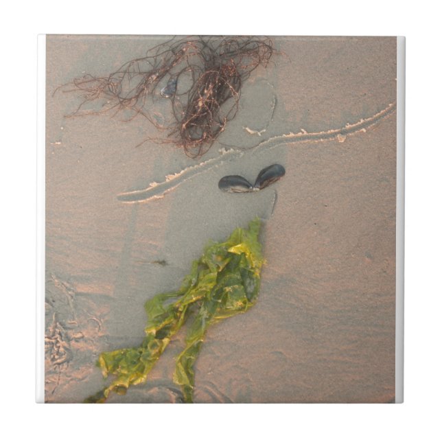 Mermaid Tile (Front)