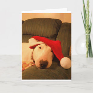merra christmas santa hat holiday card