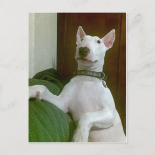 merra postcard