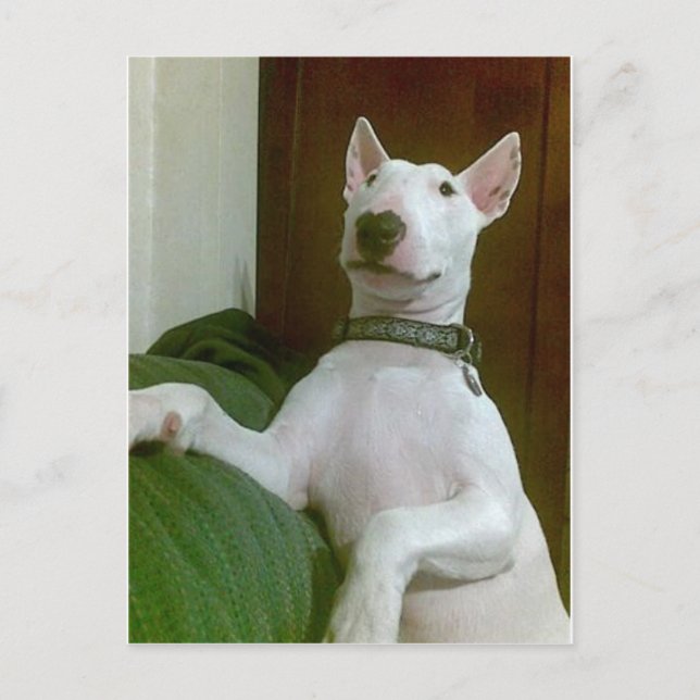 merra postcard (Front)