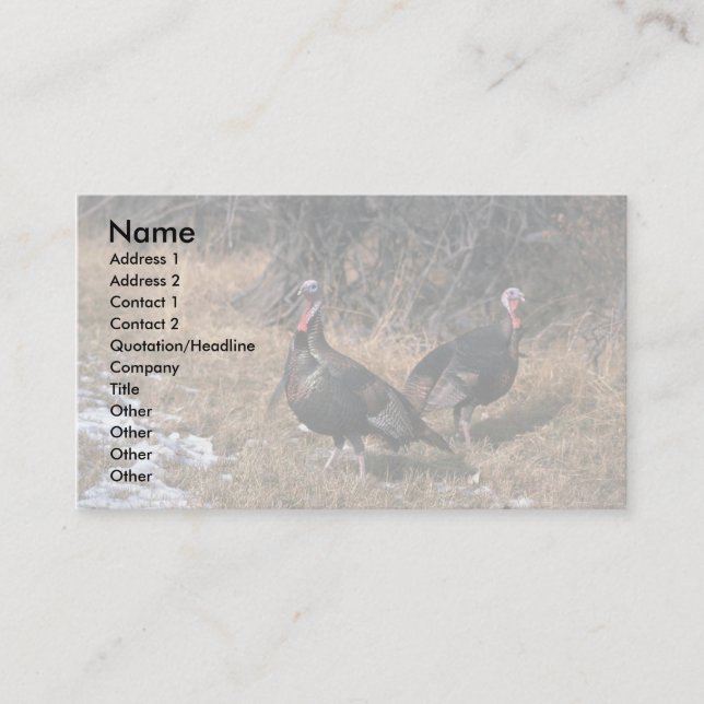 Merriams wild turkeys, gobblers business card (Front)