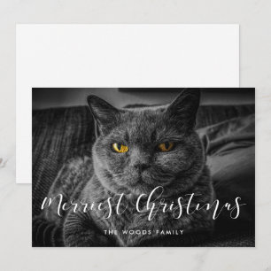Merriest Christmas Elegant Family Photo Holiday Card